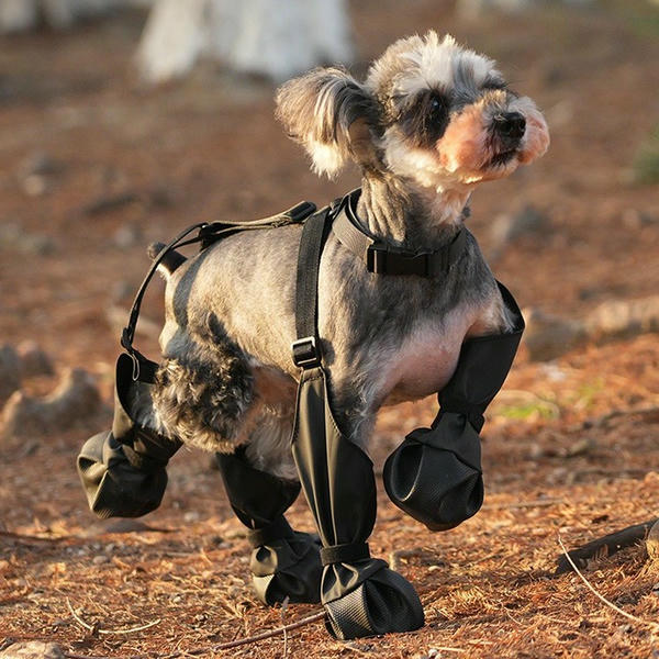 waterproof suspender dog boots